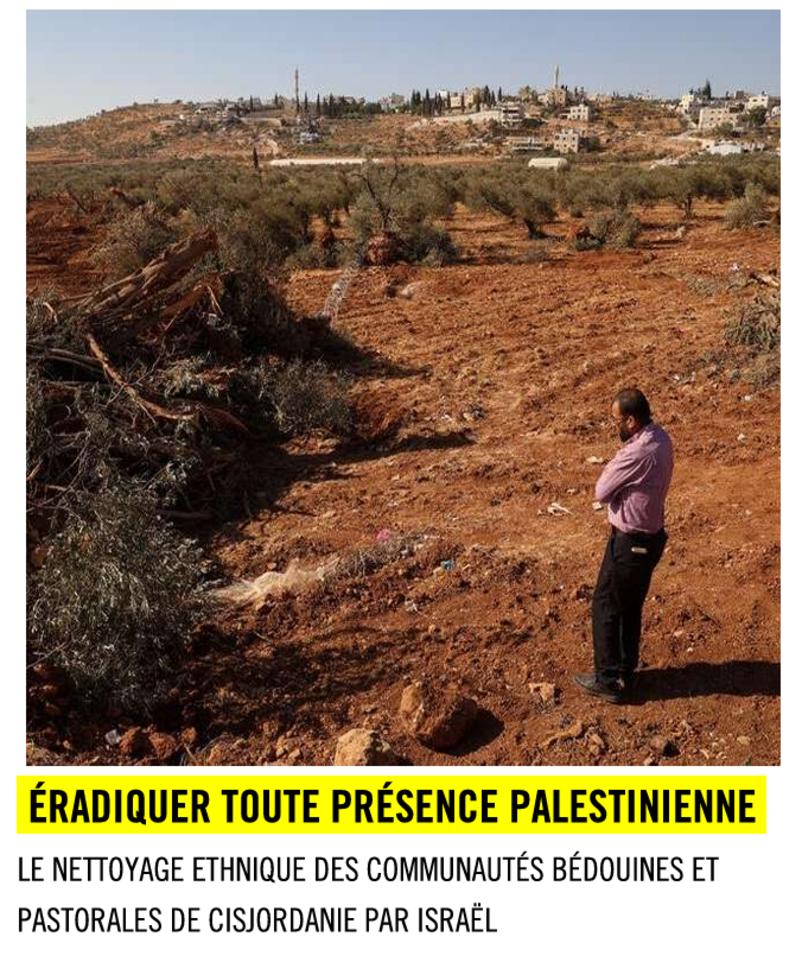 Page de couverture du rapport d'Amnesty sur l'épuration ethnique en Cisjordanie